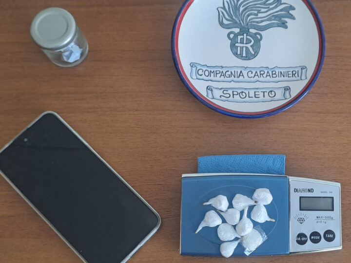 Nasconde droga nei boschi di Azzano: in manette un 21enne