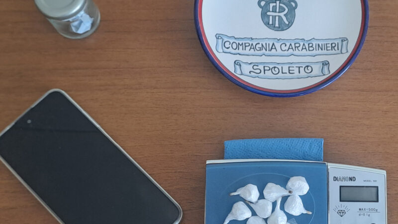 Nasconde droga nei boschi di Azzano: in manette un 21enne