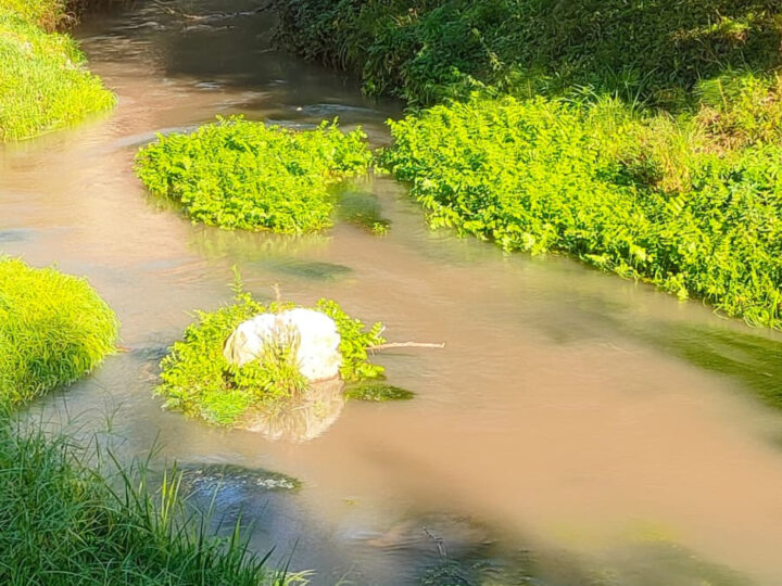Manutenzione Enel, intorbidito il fiume Nera: avvisati i carabinieri forestali