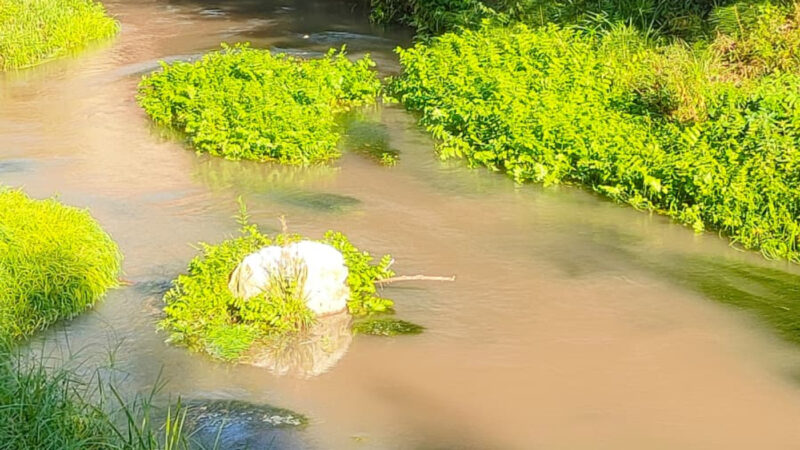 Manutenzione Enel, intorbidito il fiume Nera: avvisati i carabinieri forestali
