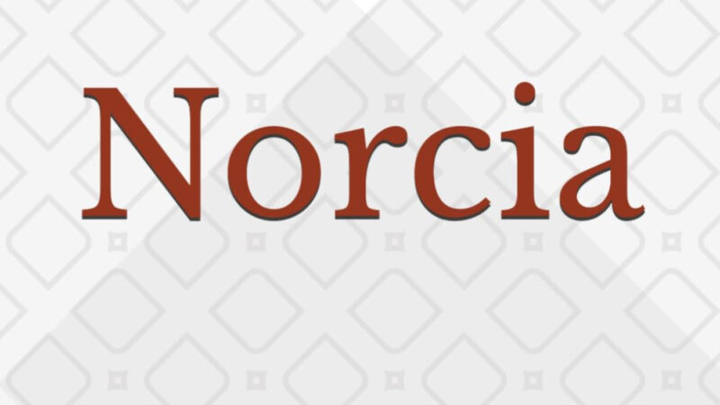 Norcia si racconta nelle pagine di Pierluigi Valesini